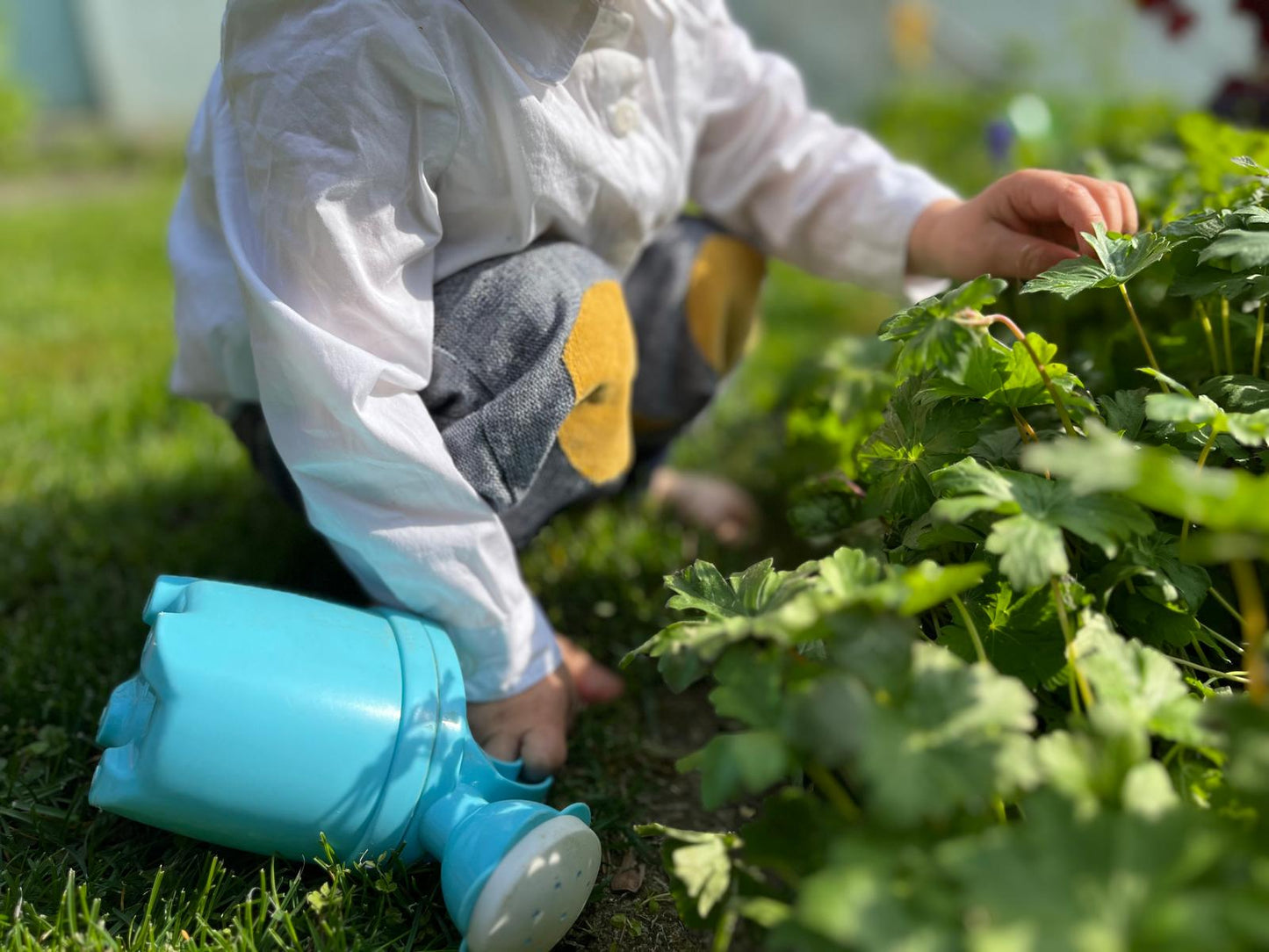 Pumphose Grösse 80-98